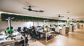 联系好色直播下载