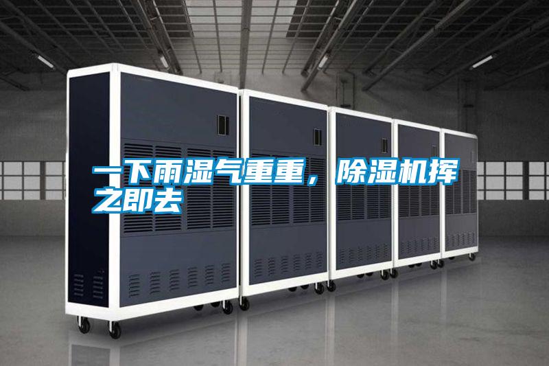 一下雨湿气重重，好色先生污污版挥之即去