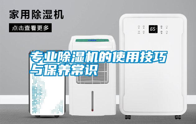 专业好色先生污污版的使用技巧与保养常识