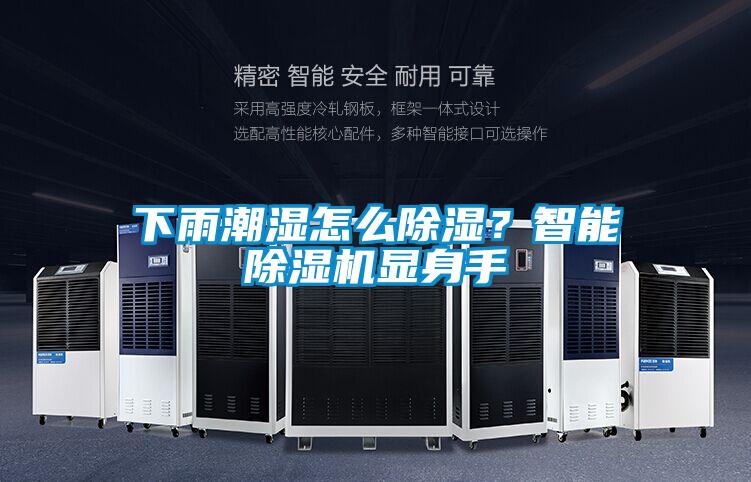 下雨潮湿怎么除湿？智能好色先生污污版显身手