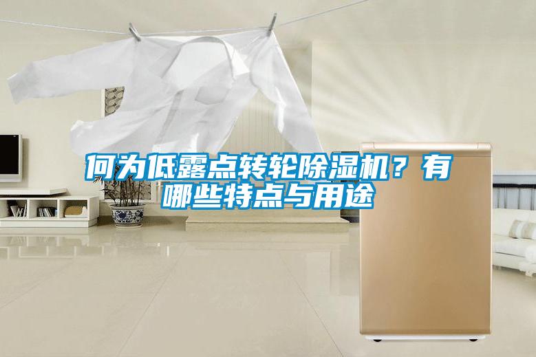 何为低露点转轮好色先生污污版？有哪些特点与用途