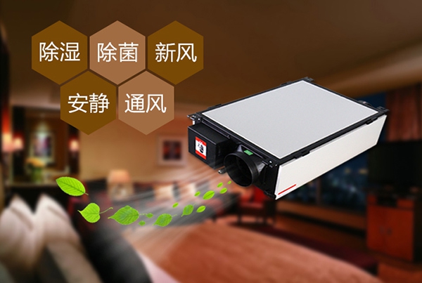 如何预防办公室装修后的防潮问题？