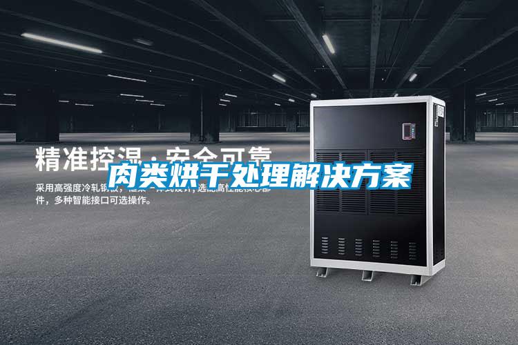 肉类烘干处理好色先生TV成人