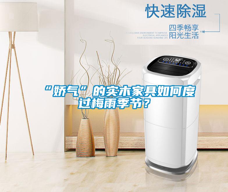 “娇气”的实木家具如何度过梅雨季节？