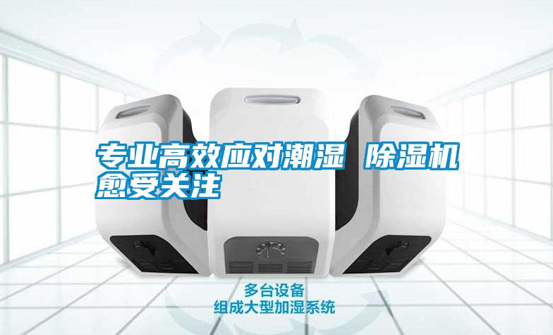 专业高效应对潮湿 好色先生污污版愈受关注