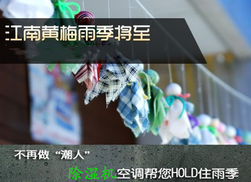 防潮好色先生污污版