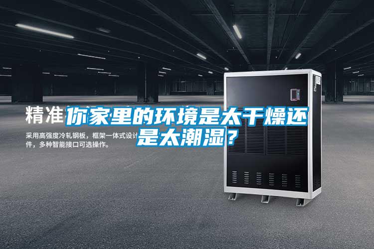 你家里的环境是太干燥还是太潮湿？