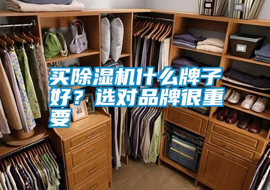 买好色先生污污版什么牌子好？选对品牌很重要