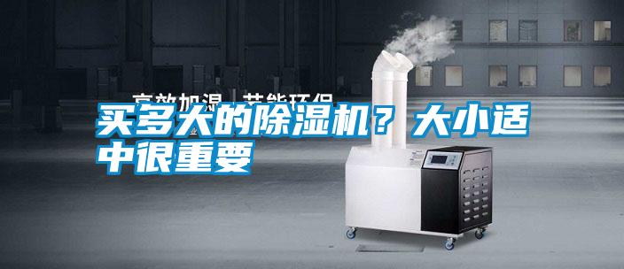 买多大的好色先生污污版？大小适中很重要