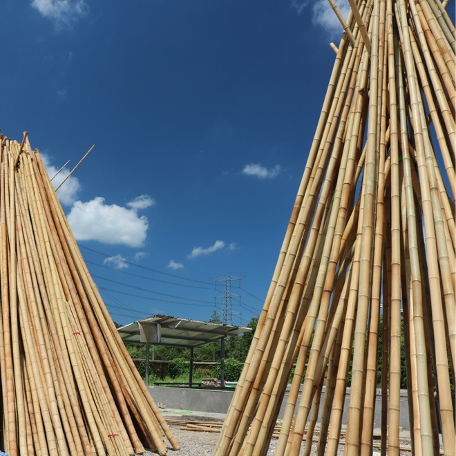 烘干好色先生污污版