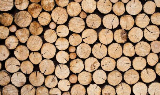 木材烘干好色先生污污版