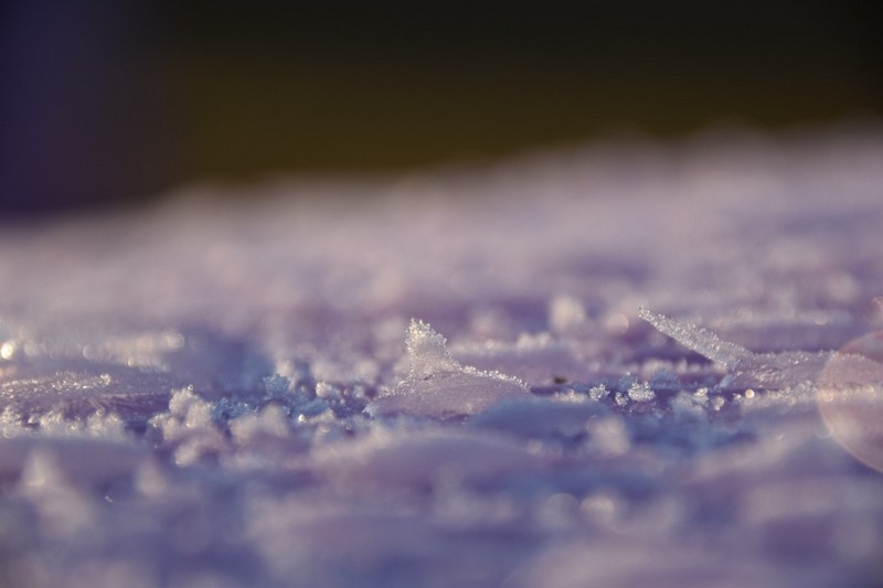 你知道好色先生污污版为什么需要自动化霜吗？