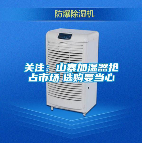 关注：山寨加湿器抢占市场　选购要当心