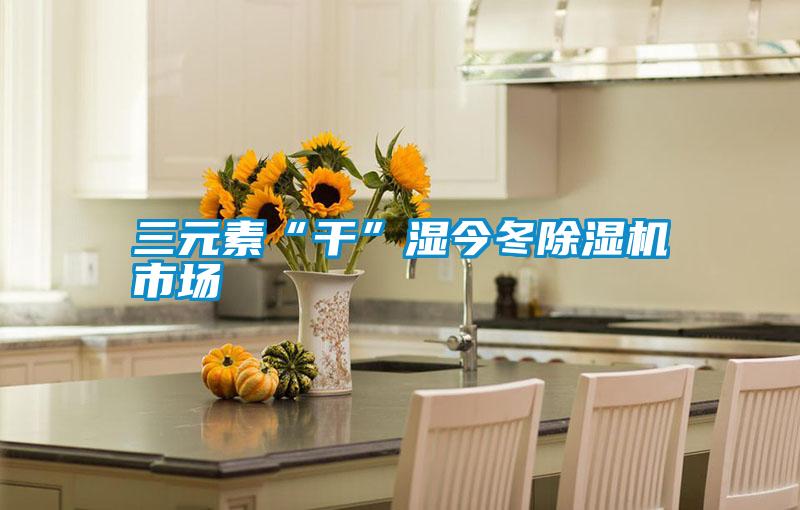 三元素“干”湿今冬好色先生污污版市场