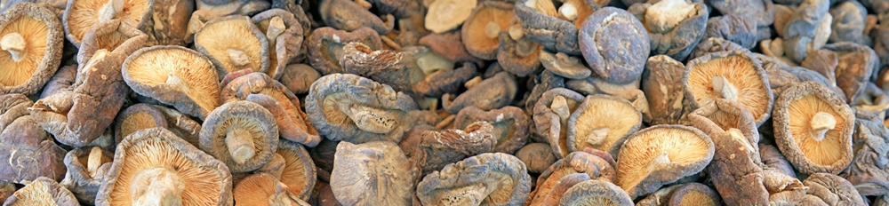 1513232860786888.jpg 种子烘干.jpg