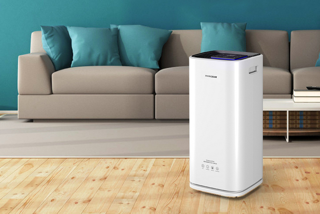 一起和好色直播下载把健康空气带回家吧