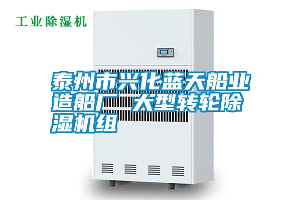 泰州市兴化蓝天船业造船厂 大型转轮好色先生污污版组