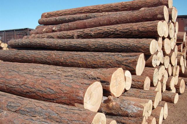 1570437591960017.jpg 图片1.jpg