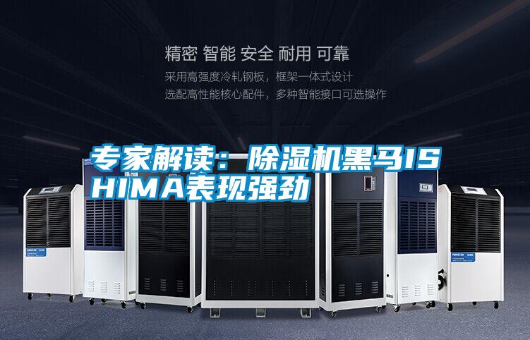 专家解读：好色先生污污版黑马ISHIMA表现强劲