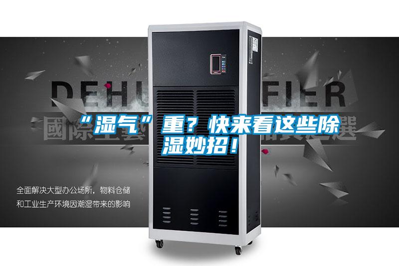 “湿气”重？快来看这些除湿妙招！