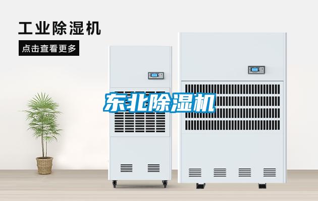 东北好色先生污污版