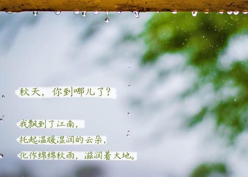 “无晴”阴雨天 “有晴”好色先生污污版