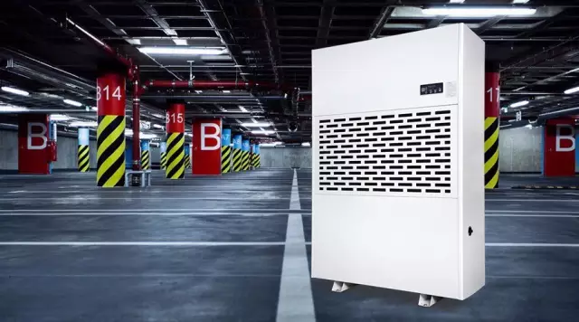 好色先生污污版,好色先生污污版