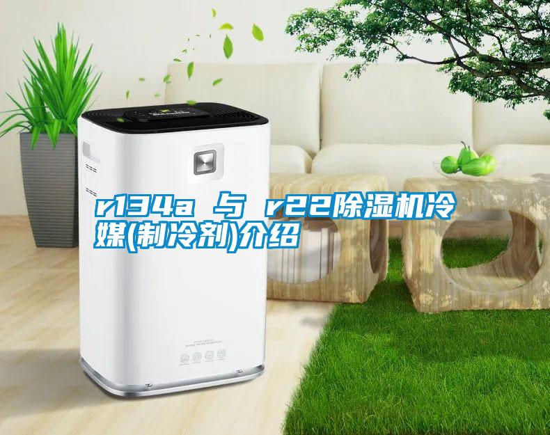 r134a 与 r22好色先生污污版冷媒(制冷剂)介绍