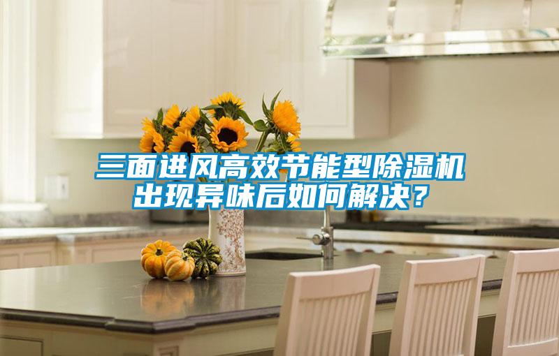 三面进风高效节能型好色先生污污版出现异味后如何解决？