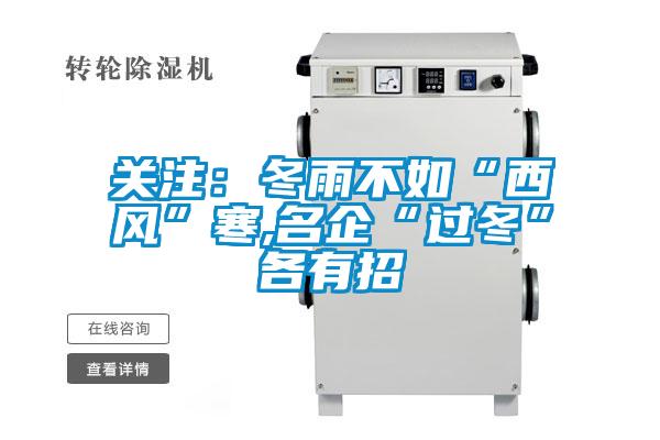 关注：冬雨不如“西风”寒,名企“过冬”各有招