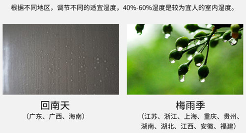 防潮好色先生污污版