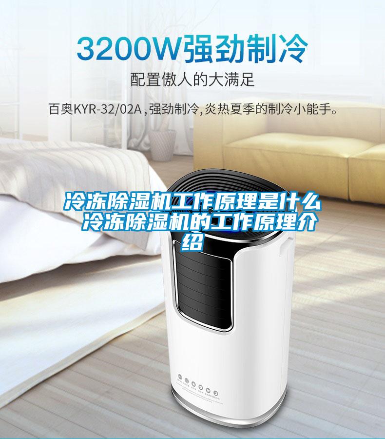 冷冻好色先生污污版工作原理是什么 冷冻好色先生污污版的工作原理介绍