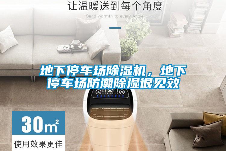 地下停车场好色先生污污版，地下停车场防潮除湿很见效