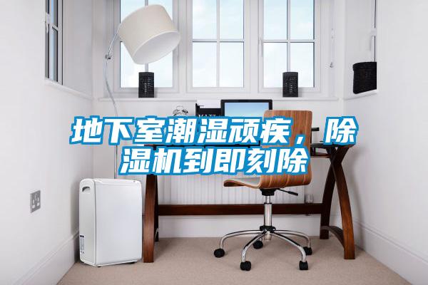 地下室潮湿顽疾，好色先生污污版到即刻除