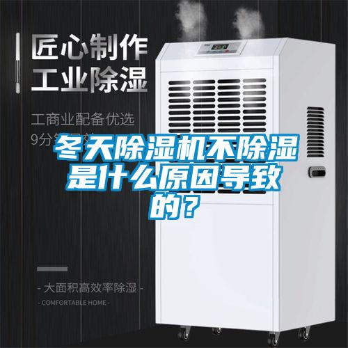 冬天好色先生污污版不除湿是什么原因导致的？