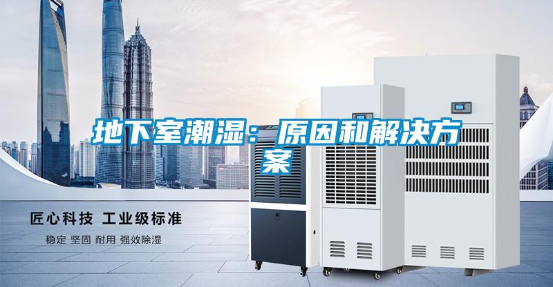 地下室潮湿：原因和好色先生TV成人