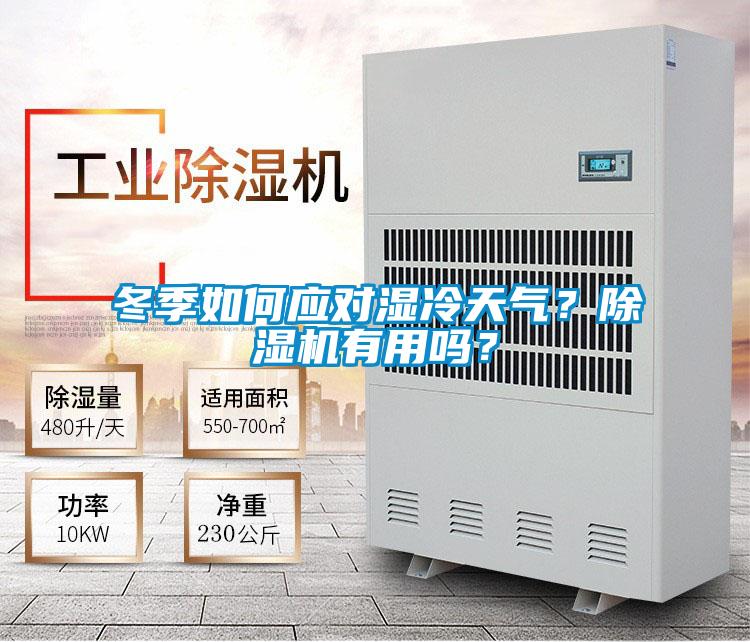 冬季如何应对湿冷天气？好色先生污污版有用吗？