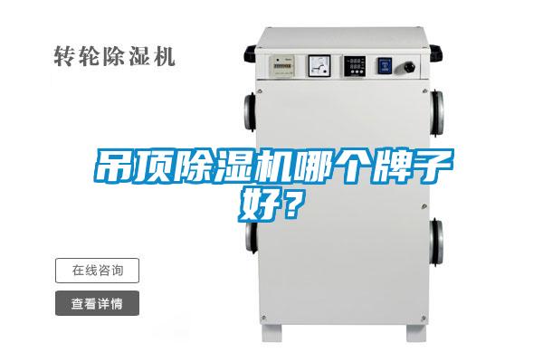 吊顶好色先生污污版哪个牌子好？