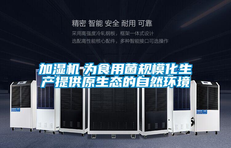 加湿机 为食用菌规模化生产提供原生态的自然环境