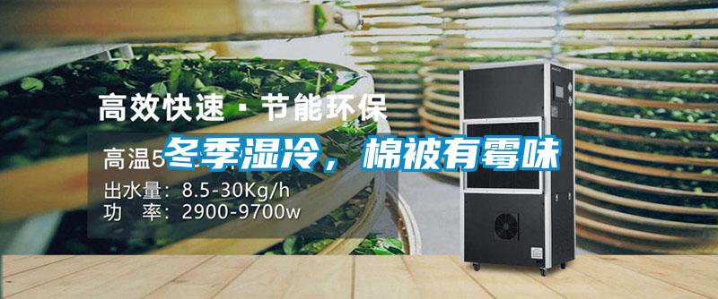 冬季湿冷，棉被有霉味