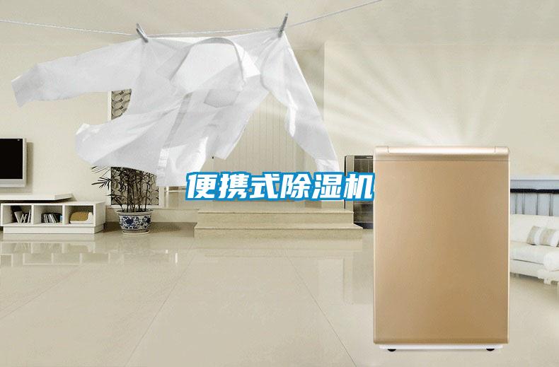 便携式好色先生污污版