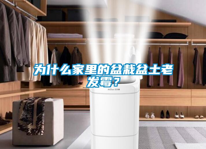 为什么家里的盆栽盆土老发霉？