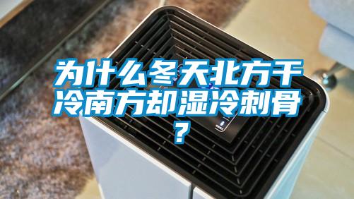 为什么冬天北方干冷南方却湿冷刺骨？
