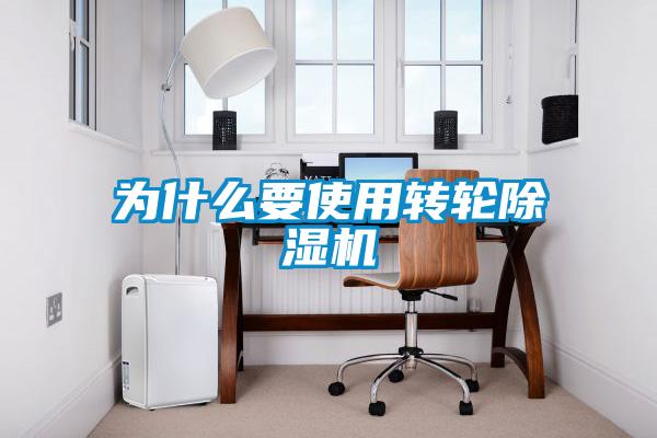 为什么要使用转轮好色先生污污版