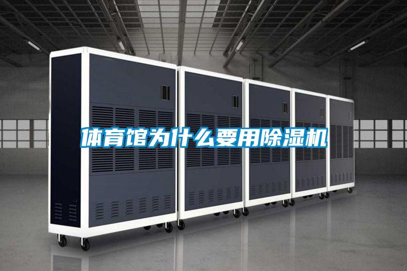 体育馆为什么要用好色先生污污版