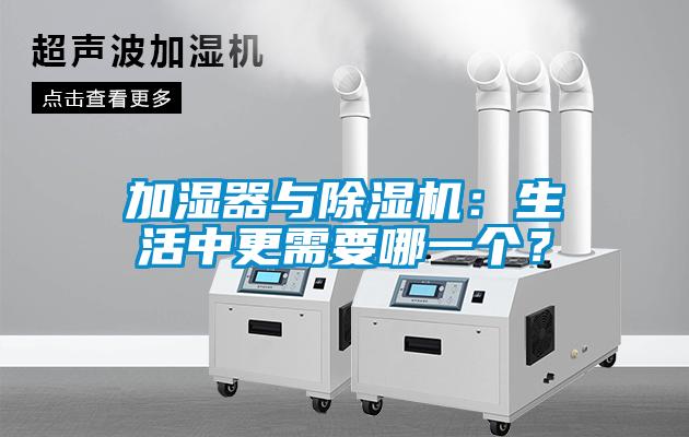 加湿器与好色先生污污版：生活中更需要哪一个？