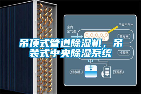 吊顶式管道好色先生污污版，吊装式中央除湿系统