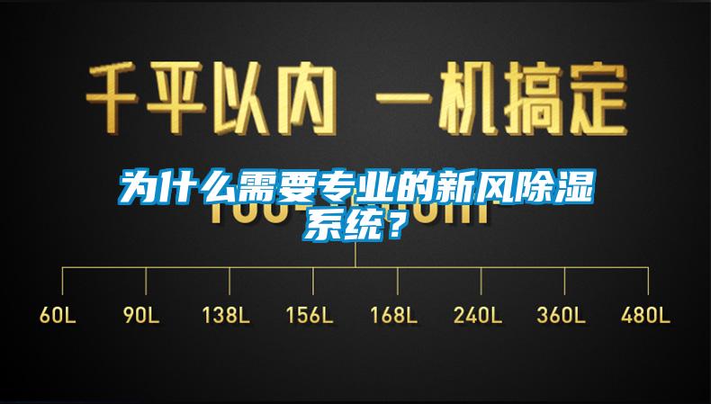 为什么需要专业的新风除湿系统？
