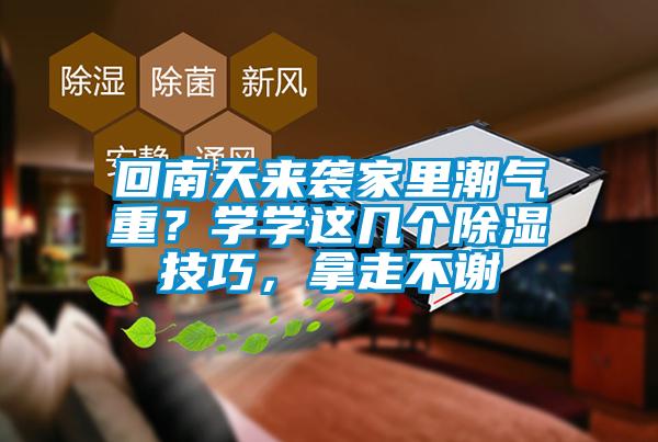 回南天来袭家里潮气重？学学这几个除湿技巧，拿走不谢