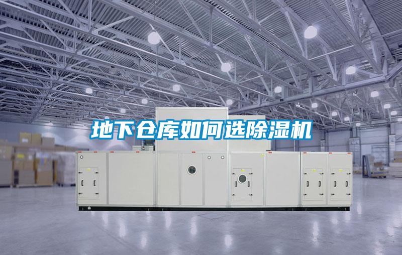 地下仓库如何选好色先生污污版